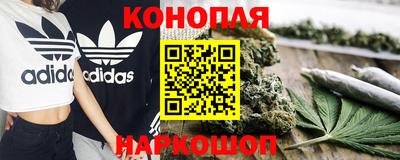 твердый Кингисепп