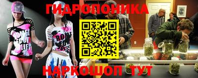 jwh Кинель