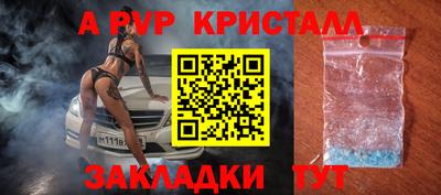 твердый Кингисепп