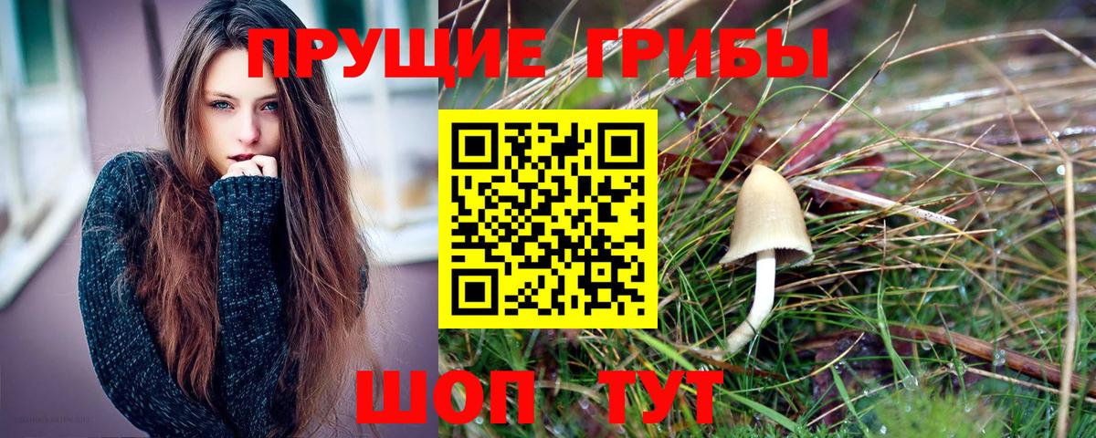 Галлюциногенные грибы Psilocybe Лангепас