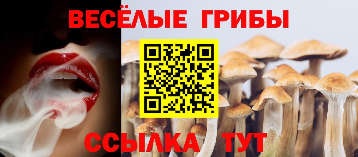 Галлюциногенные грибы мухоморы  Вход с VPN  Лангепас 